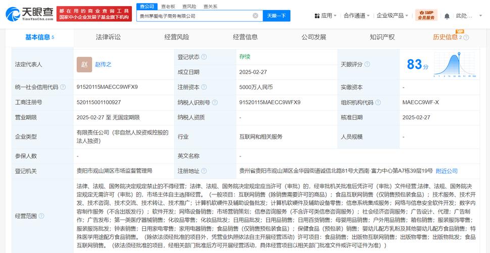 资本5000万入局互联网销售与计算机系统集成 战略布局与经营策略