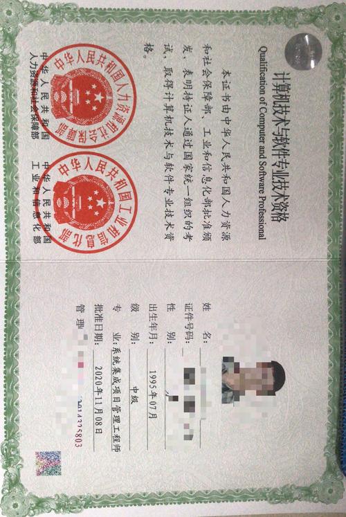 系统集成与软考 全国计算机技术与软件专业技术资格（水平）考试中的计算机系统集成方向全解析